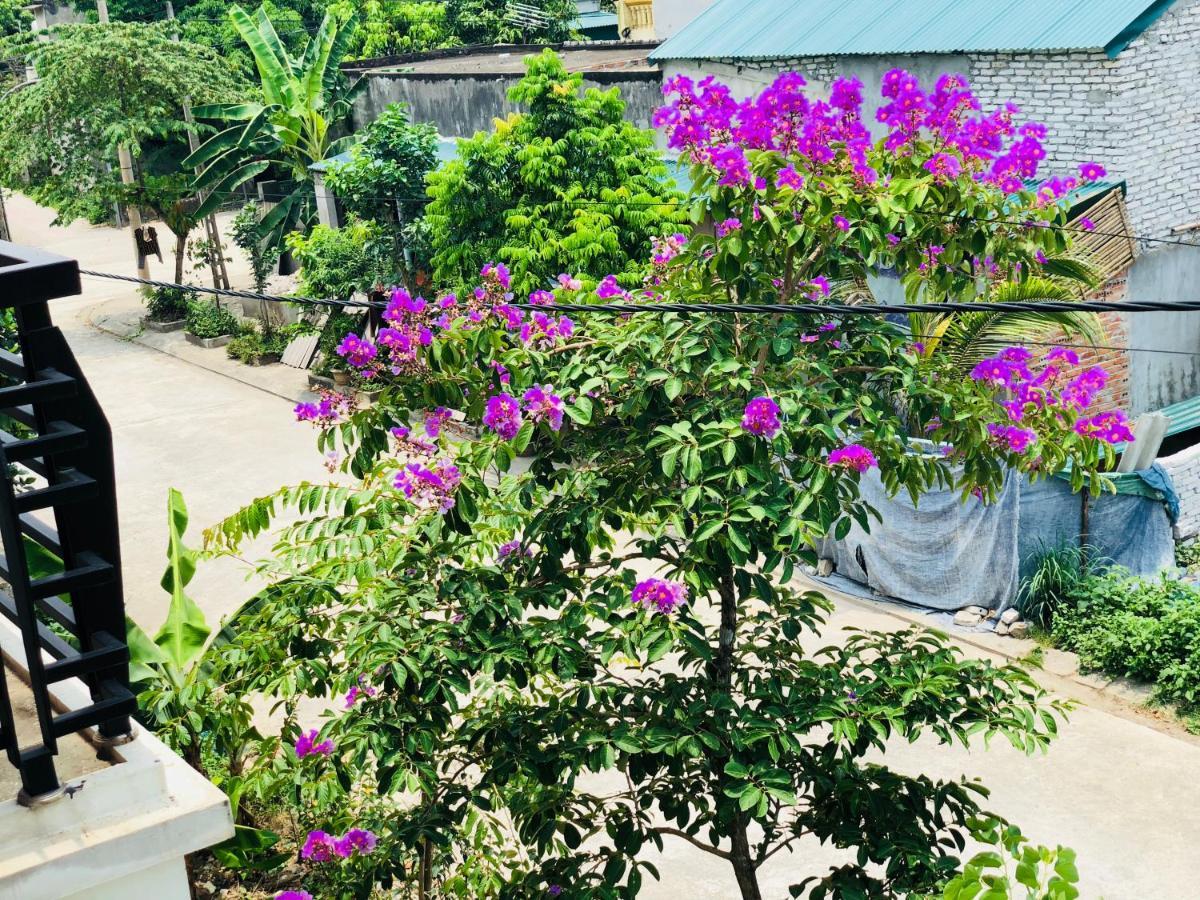 Ninh Binh Brother'S Homestay Bagian luar foto