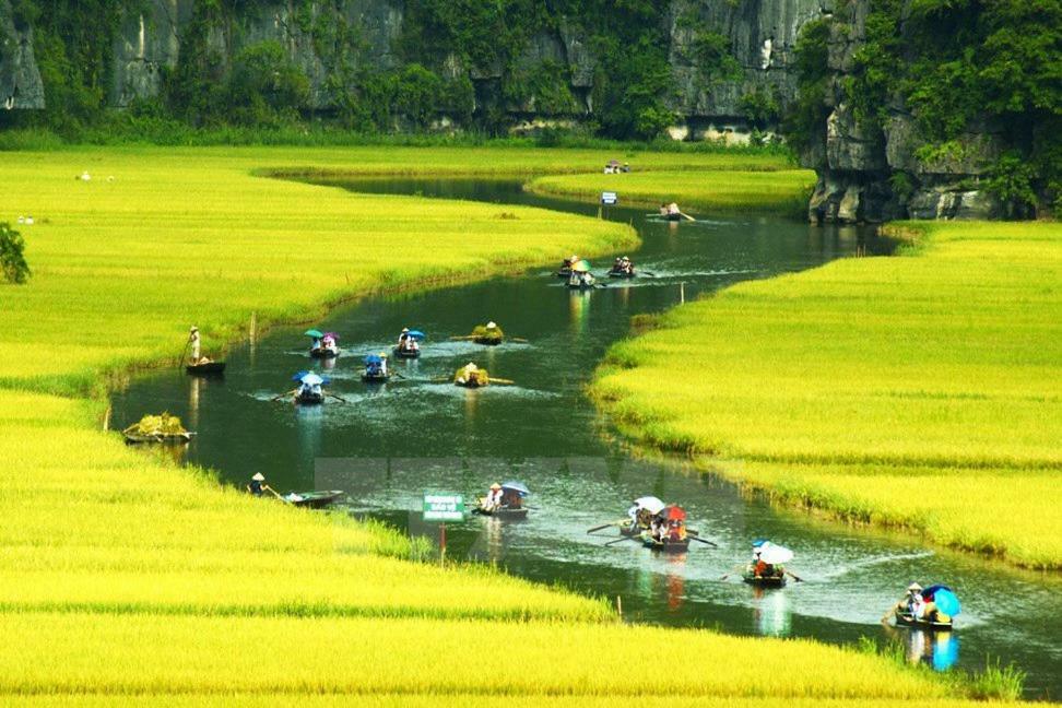 Ninh Binh Brother'S Homestay Bagian luar foto